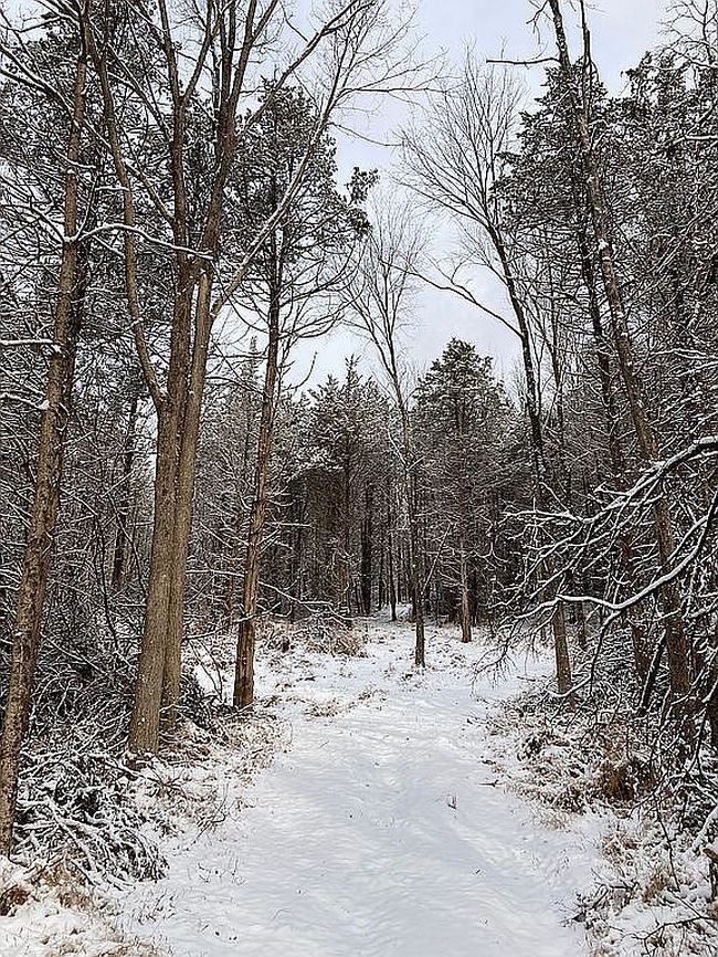 Image of 414 County Route 25