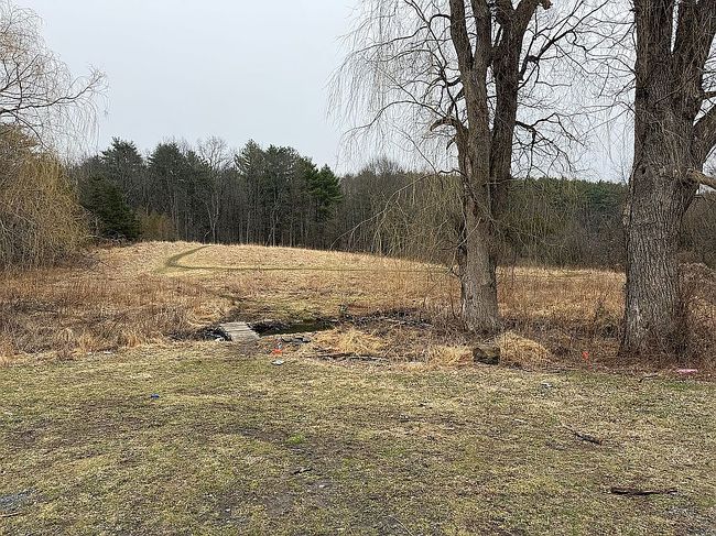 Image of 146 Finch Rd