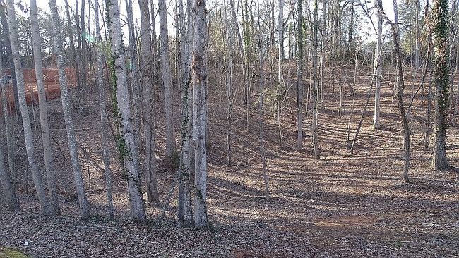 Image of 116 Woods Dr