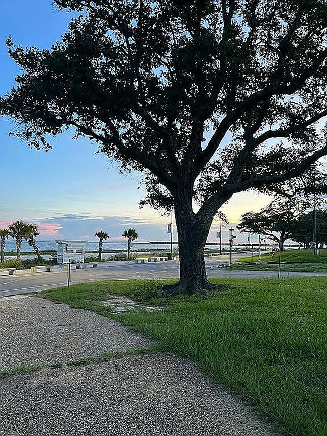 Photo of 1607 Beach Blvd, Pascagoula, MS