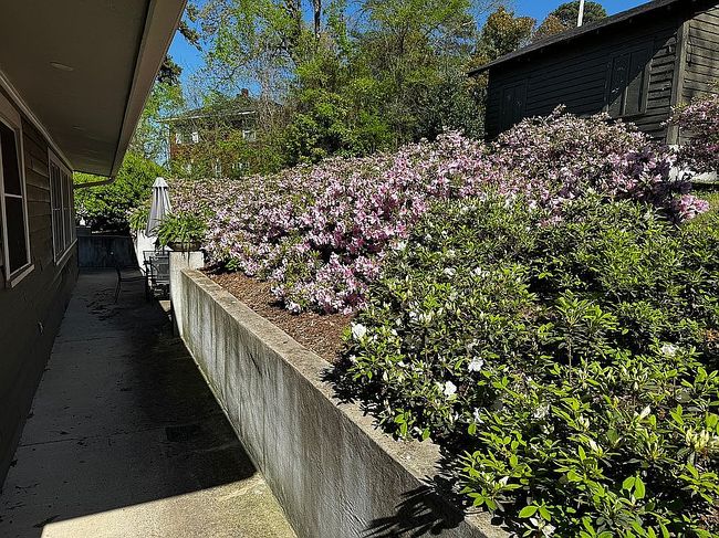 Image of 2623 W Markham St