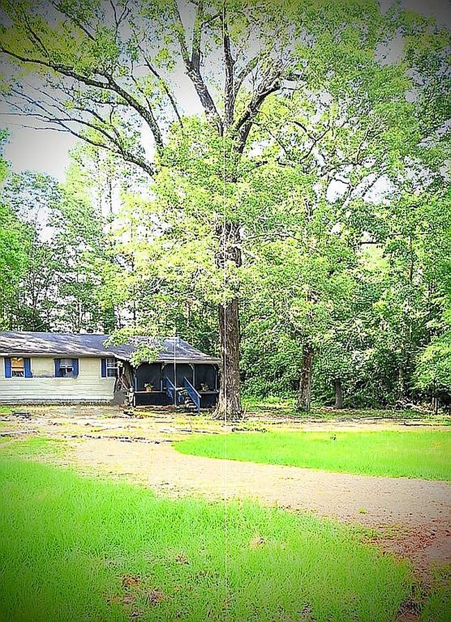 Photo of 210 Ouachita #13