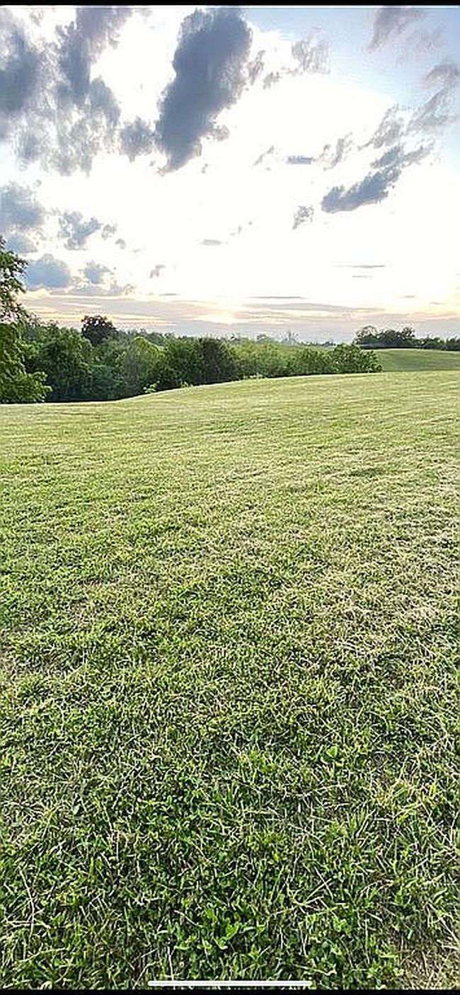 Image of 12965 Irvine Rd