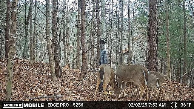 Additional photo of property located at 0 Pinegrove Dr