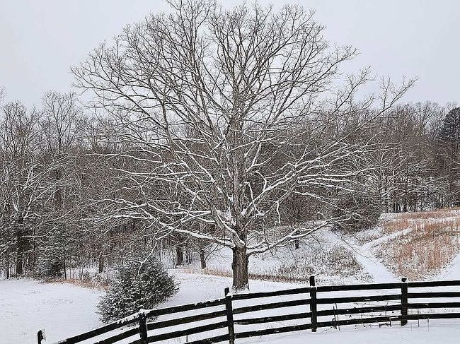 Image of 1019 Bridge Hollow Rd