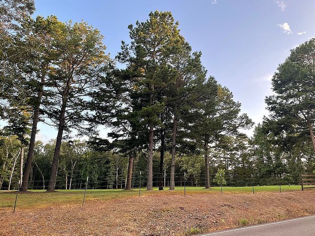 Photo of 79 Ridge Dr, Greenbrier, AR