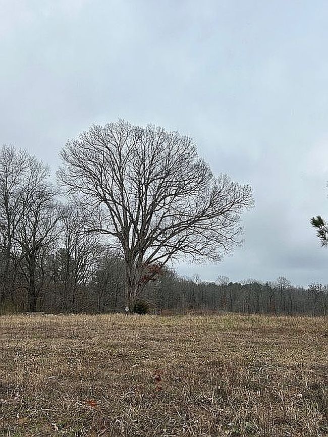 Image of 4177 Eureka Rd