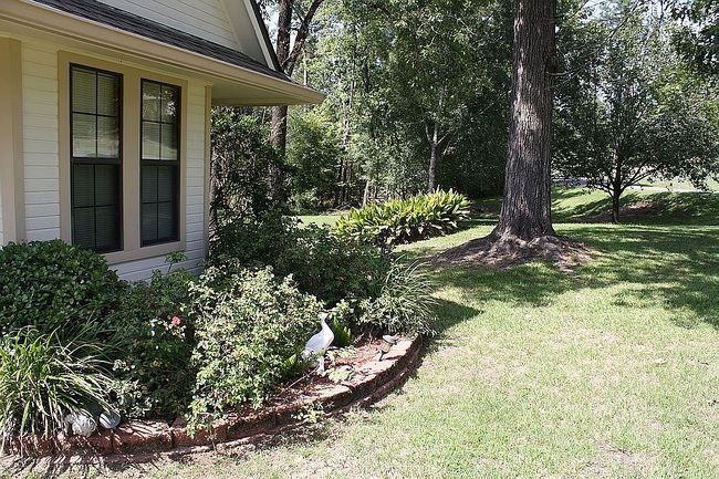Image of 245 White Oak Dr