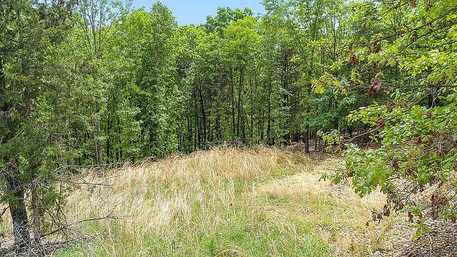 Image of 0 Coose Hollow Ln
