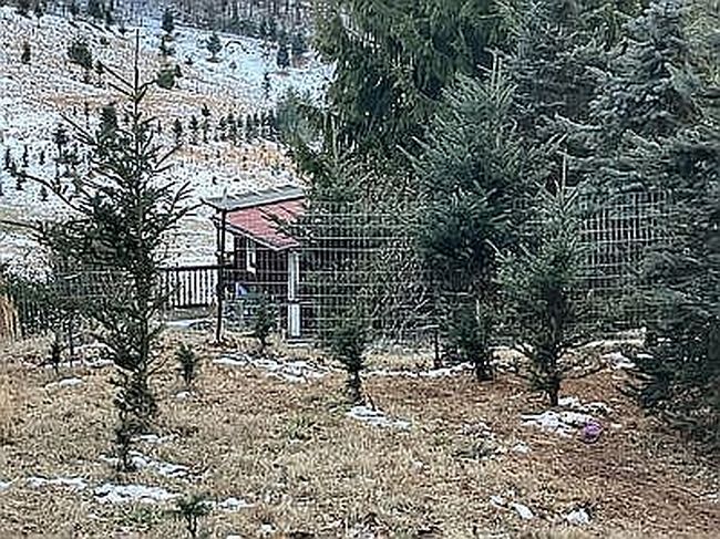 687 Three Creeks Ln, Sparta, NC