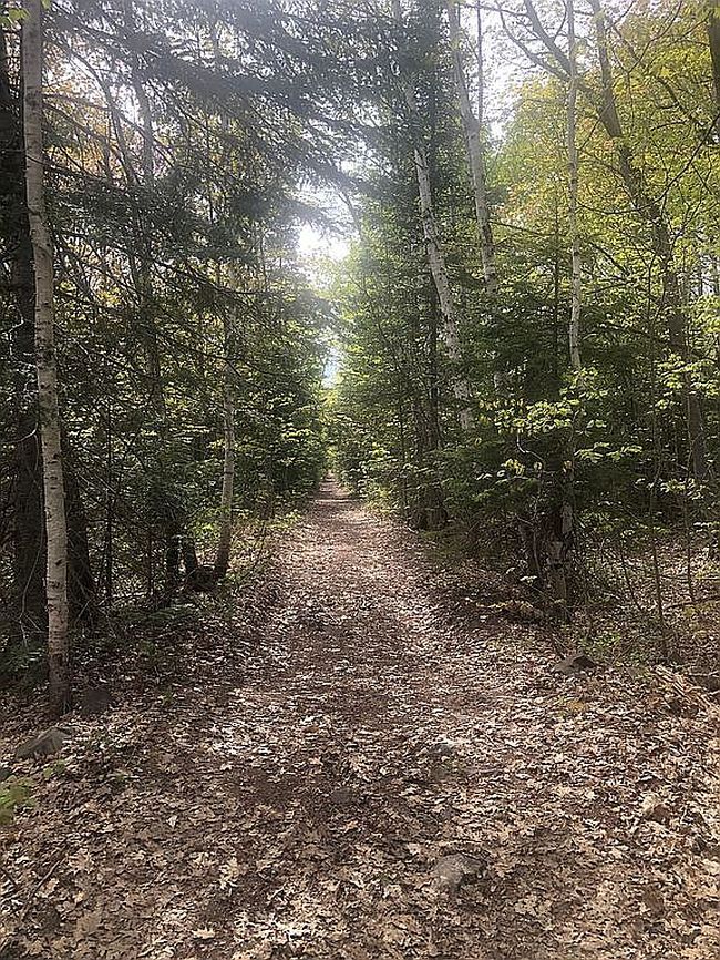 Image of 0 Tecumseh Rd