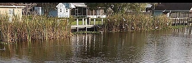 Photo of 1260 6th St, Okeechobee, FL
