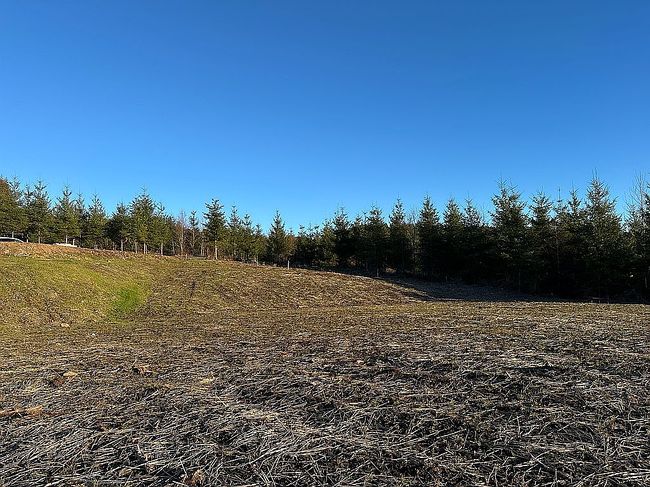 Photo of 104 Bootjack Ln, Kelso, WA