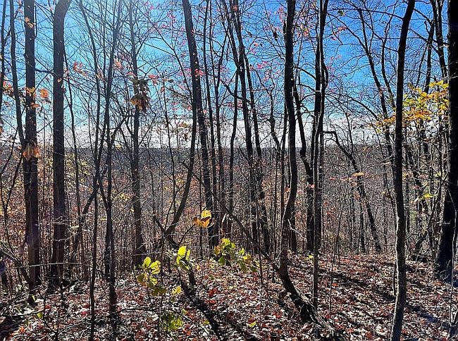 Image of 1143 Spaws Creek Rd
