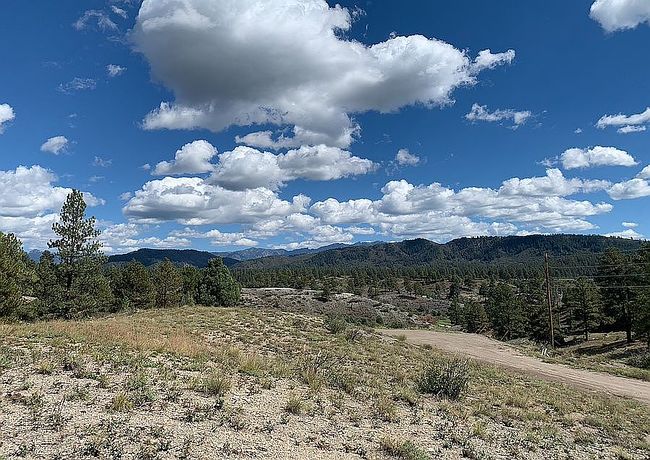 Photo of 230 Kristina Ct, Pagosa Springs, CO
