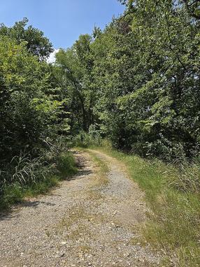 Preview of property located at 363 N 4418th Cir