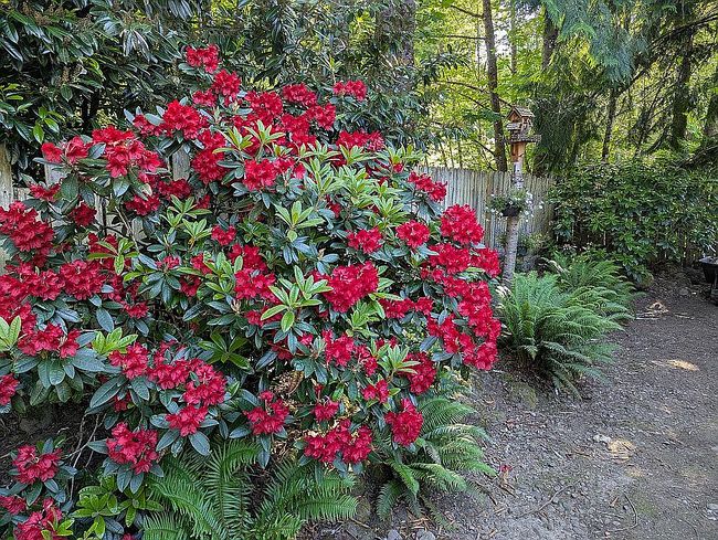 Photo of 25222 E Welches Rd Unit 12D, Welches, OR