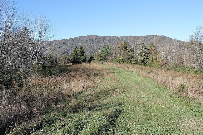 Image of 448 Reed Martin Dr