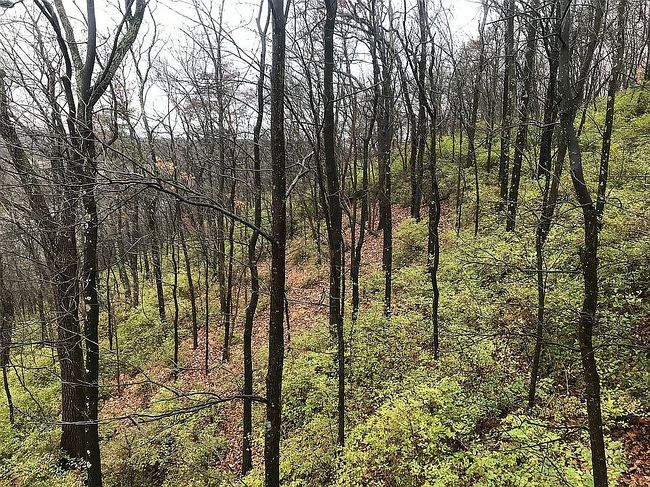 Image of 0 River Dr