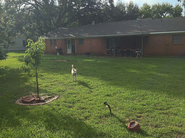 Photo of 9395 Doty St, Beaumont, TX