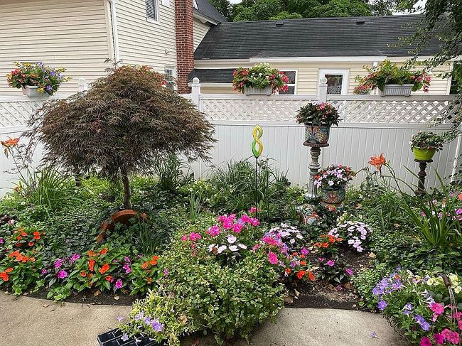 Photo of 209 Hickory St, Milford, MI