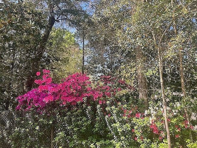 Photo of 466 Drake Acres Rd, Quincy, FL