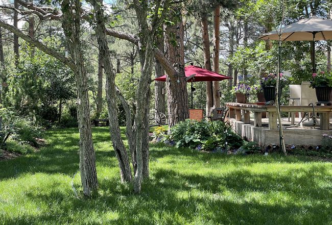 Image of 19850 Indian Summer Ln