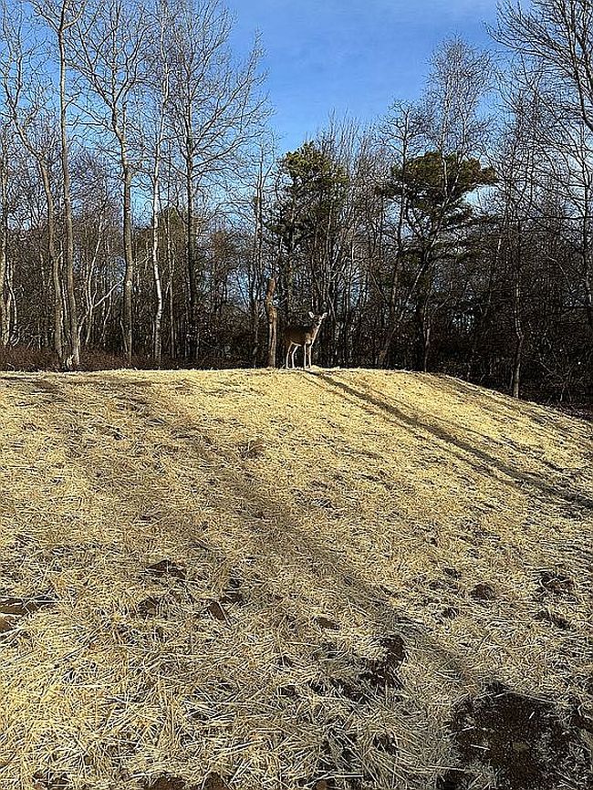 Image of 460 Scenic Dr