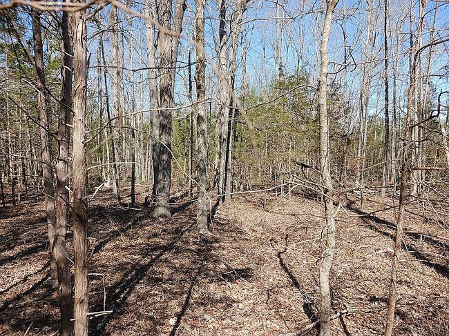 Image of 377 Deacon Rd