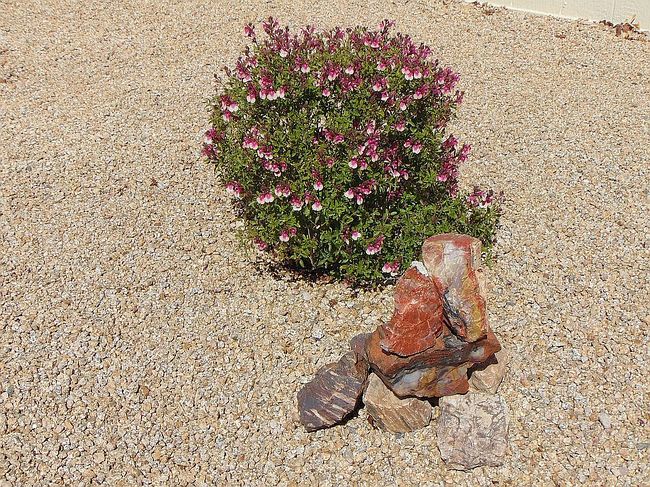 Photo of 1023 Miller Dr, Cottonwood, AZ