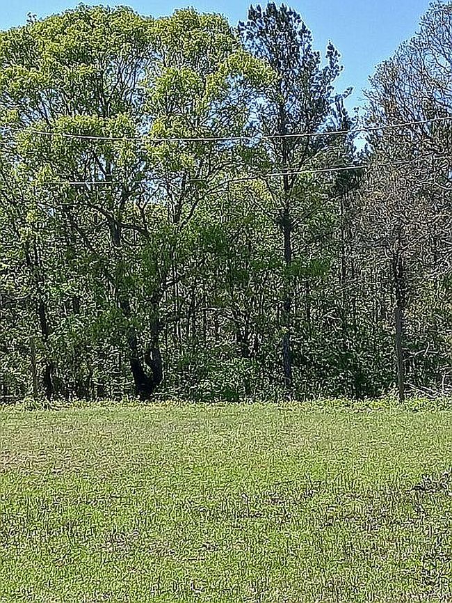 Image of 486 Sweetwater Bnd #2