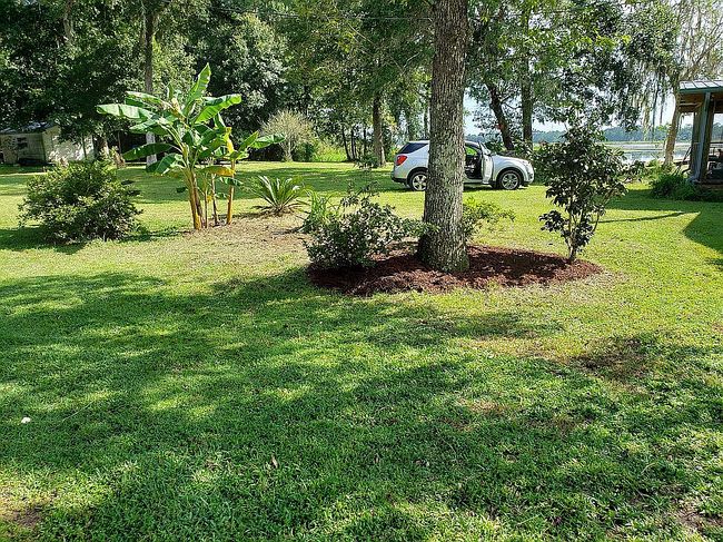 Image of 209 Walker Dr