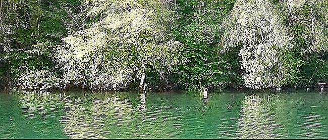 Image of Nantahala Shrs Lot 13