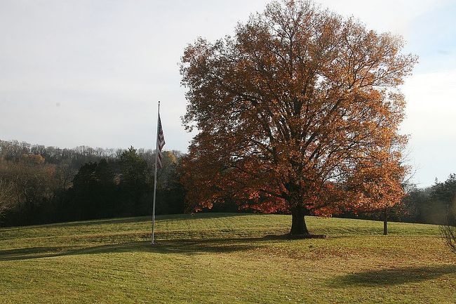 Image of 35 Cheatham Rd