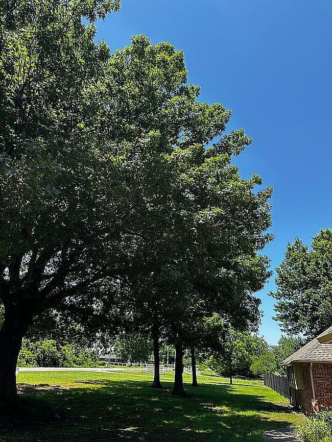 Preview of property located at 5505 12th Ave Nw