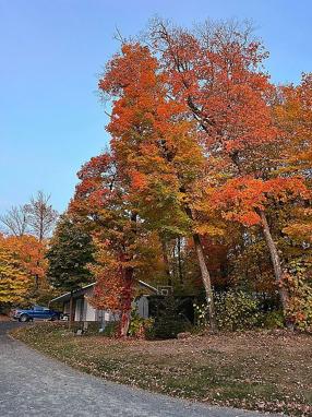 Image of 17648 Shorewood Ct Nw