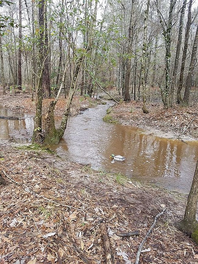Image of 3436 Highway 34