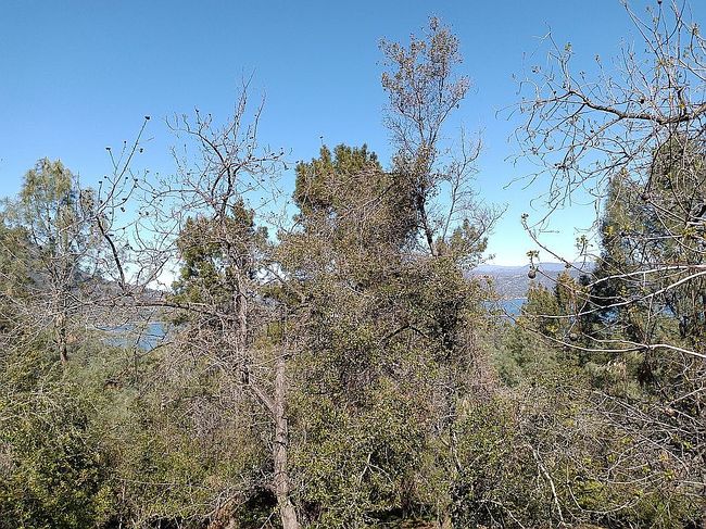 Image of 9960 Point Lakeview Rd