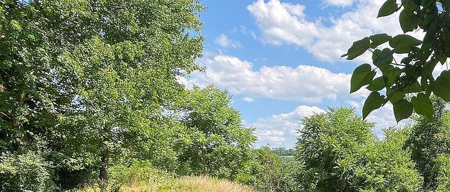 Image of 0 River Dr