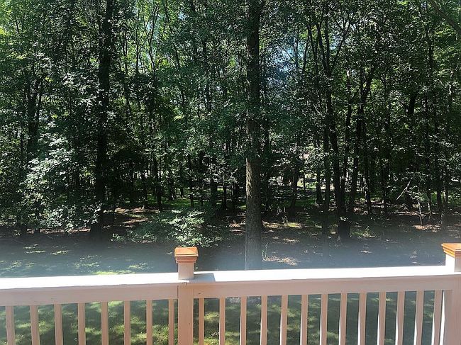 Image of 5 Hollow Tree Ct