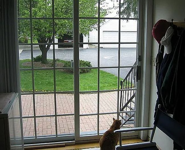 Image of 1110 Buckland Ave