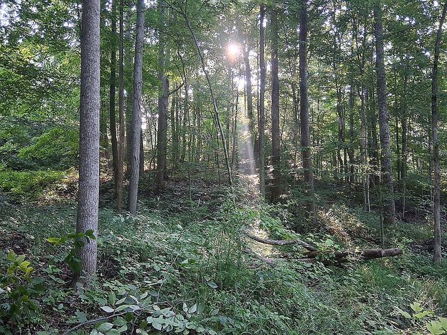 Photo of 9046 S Chapel Hill Rd, Heltonville, IN