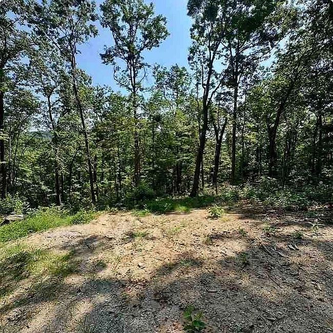 Photo of 314 Mountain Lake Ln, Travelers Rest, SC