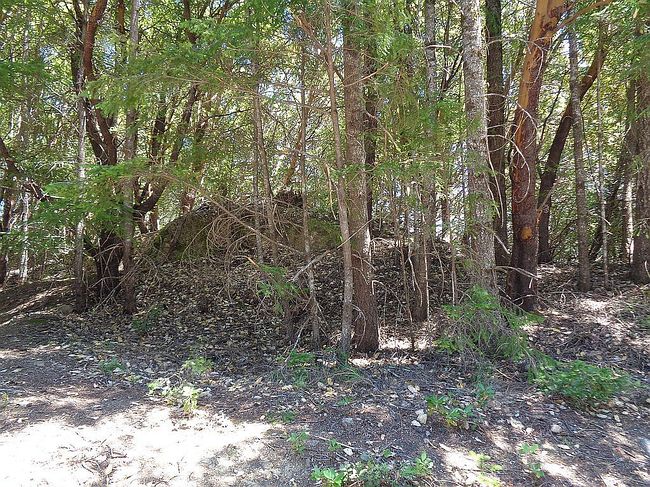 Image of 863 Toth Rd