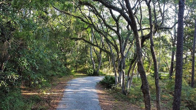 Photo of 207 Bay Trce, Santa Rosa Beach, FL
