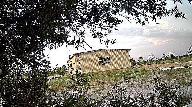 Image of 41 Ben Hill Griffin Rd