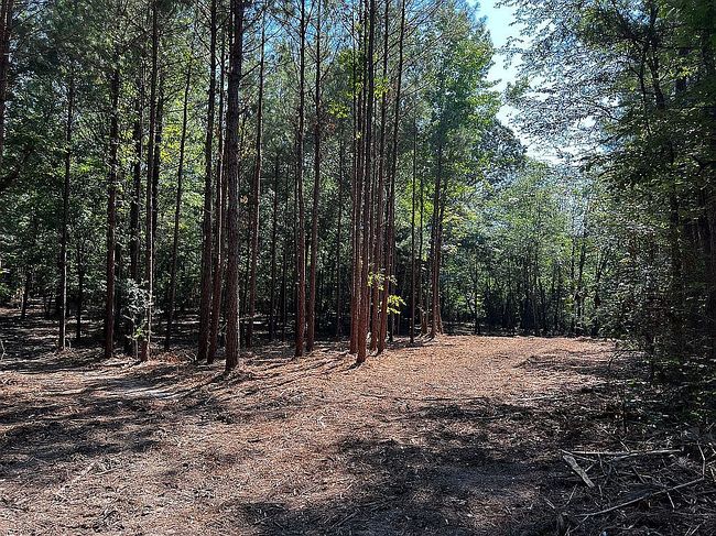 Image of La Darr Rd