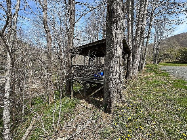 Image of 236 Old Roan Mountain Rd