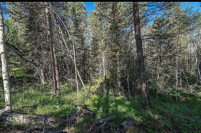Image of 327 Timberline Dr
