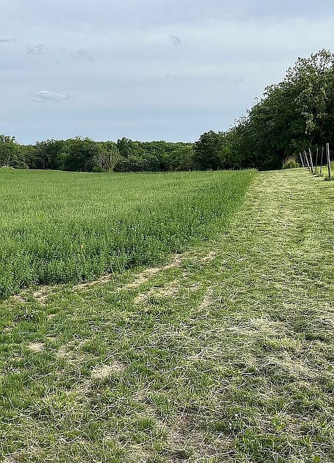 Image of 2629 E 28th Rd